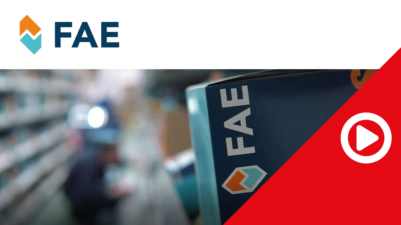 FAE - Electrical and electronic components manufacturer